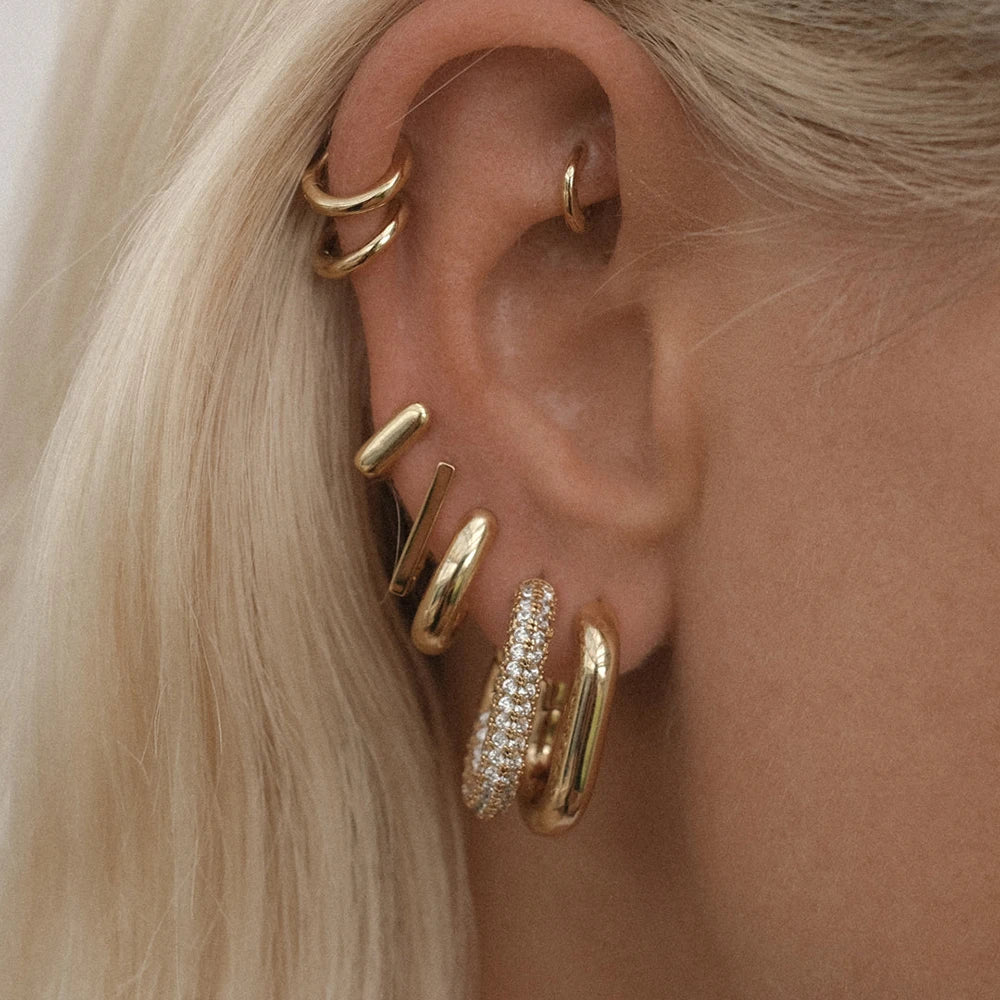 SleekCircle Earrings