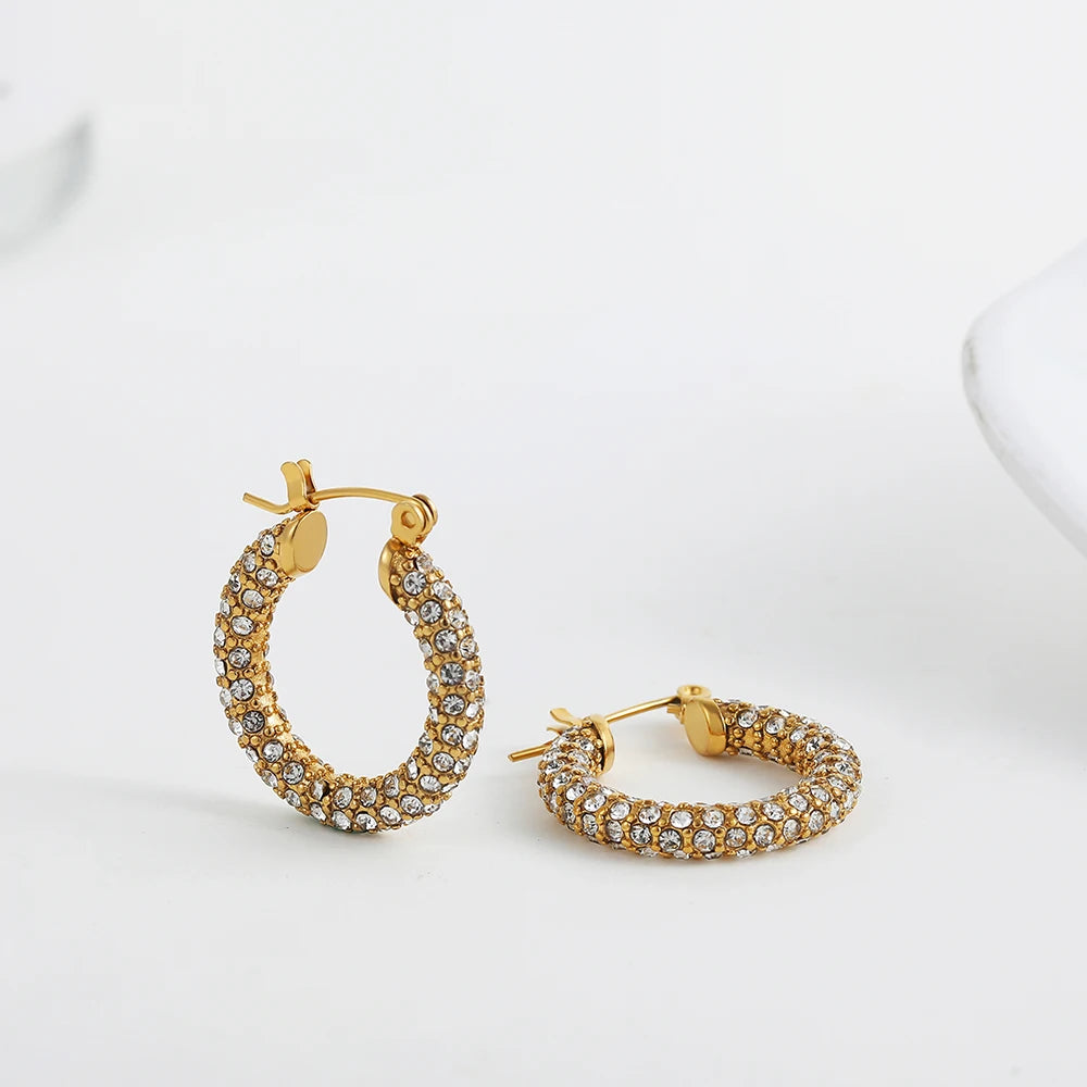 SleekCircle Earrings