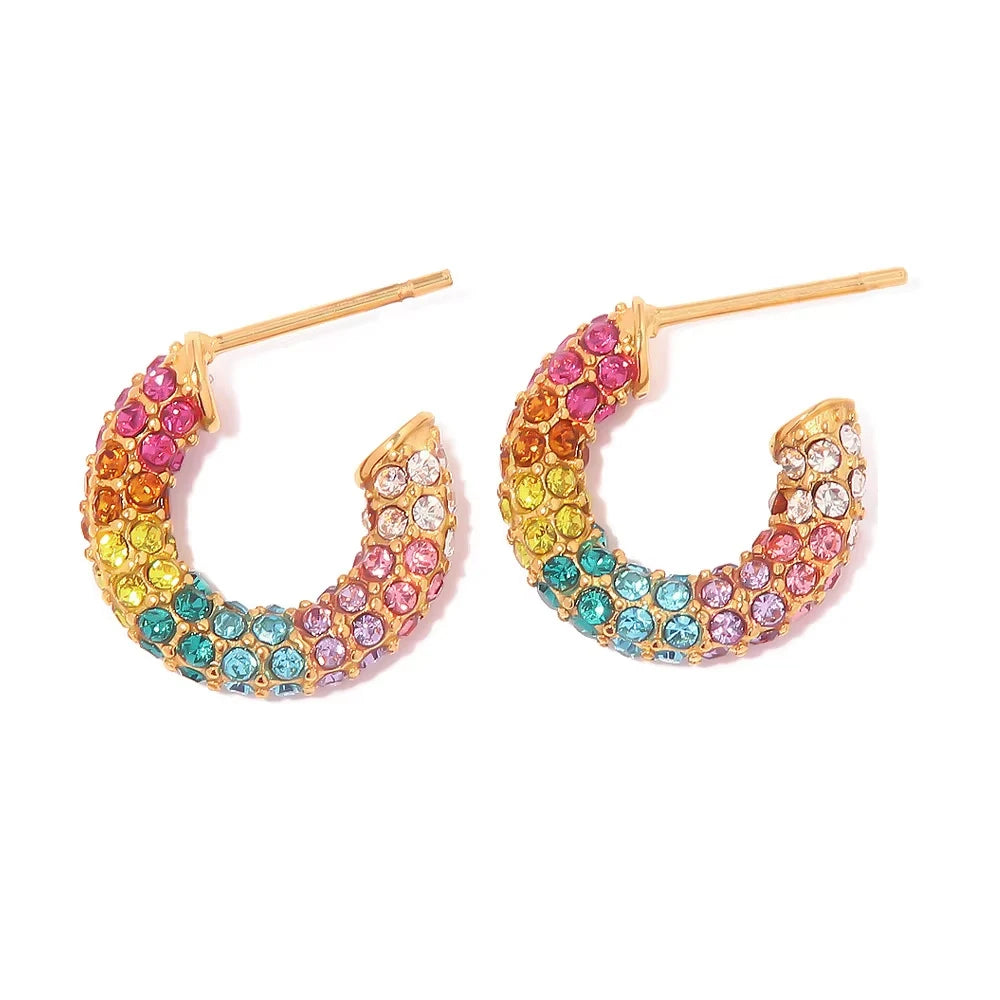 SleekCircle Earrings