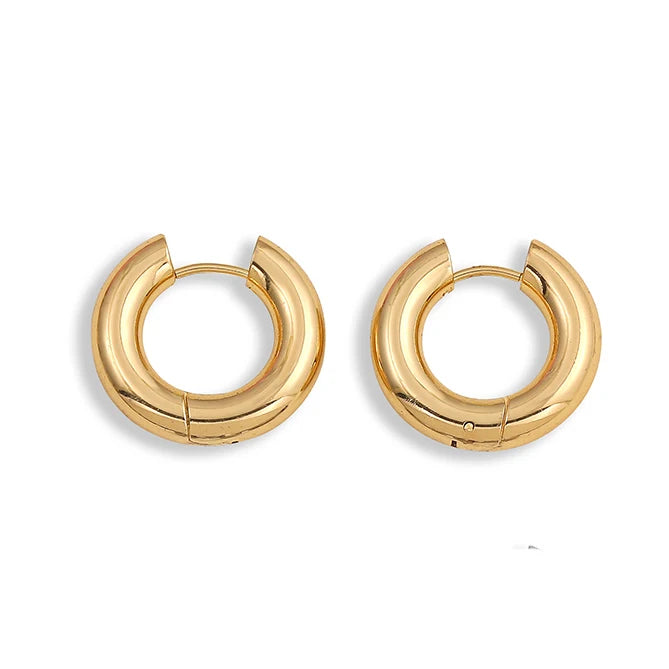 SleekCircle Earrings